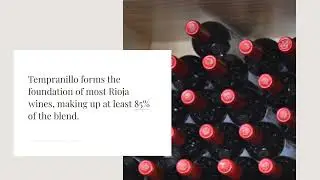 Exploring Spanish Legendary Wines: Untangling Tempranillo and Rioja