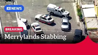 One dead, two critically injured in public area stabbing in Sydney's west | ABC NEWS