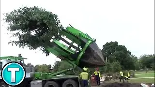 Tree Moving Machine