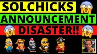 (Срочно) SolChicks объявляет о катастрофе, которая &laquo;нарушает работу отрасли&raquo;