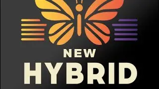 App New Hybrid no Tv Stick Intelbras