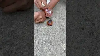 Watch Remote Control Cockroach 🪳unboxing