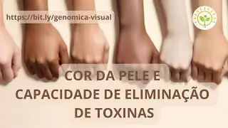 Desintoxicação e a genética do brasileiro | Genômica nutricional