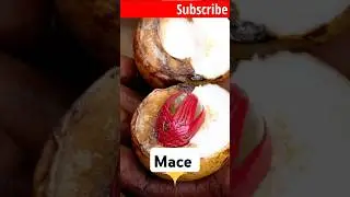 Mace #spices #herbs #aroma #health