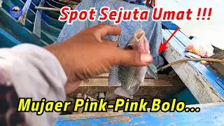 FULL MERAH-MERAH IKANNYA LUR ❗❗❗ MANCING MUJAIR DI SPOT INI MEMANG BIKIN PENASARAN #mancingmujair