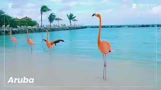 UM24 | Rejs po Ameryce Łacińskiej z Miami - Karaibska przygoda czeka