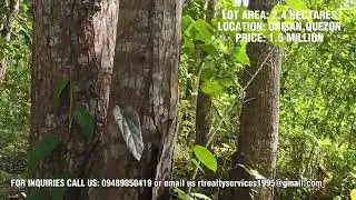 VLOG 66 MAHOGANY FARM FOR SALE