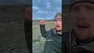 Прекрасные горы и невероятно суровая местность. Какое путешествие! #YukonUnguided #кемпинг