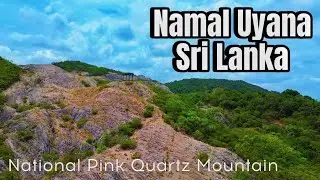 Namal Uyana - ජාතික නාමල් උයන - #srilanka #travel #2025 #dji