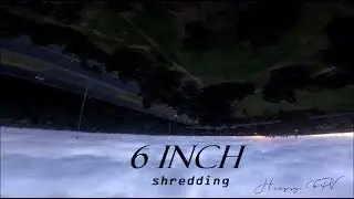 Stole the 6 inch