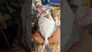 Amazing Giant Black Pomfret Fish Cutting Skills In Bangladesh local Fish Market #shorts