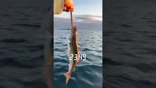 Fishing in the midnight sun #fishing #midnightsun #midnightsuns