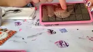 Born pretty store stamping plates review!