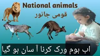 National animals of countries 