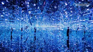 Microcosmoses