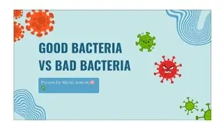 Good bacteria vs bad bacteria 🦠