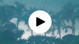 Martiora Freedom - Positive Mind Ft. Alfaro FMS (Audio Officiel)