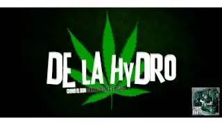 Chino El Don - 