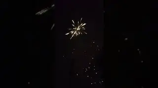I hope all the pyros enjoyed their 4th