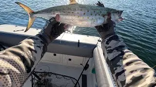 🎣 Spanish Mackerel Success! | Fishing, Cooking & Conversation with Captain Gaige & JoJo Napoli