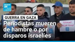 Periodistas palestinos mueren de hambre o por disparos reportando la guerra en Gaza