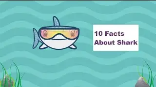 Shark facts for Kids | Interesting facts about Sharks | Educational Video for Kids