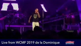 WCMF 2019 - DYNASTI&rsquo;Z