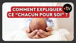 Natalité : 