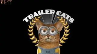 Minions Cat Theme Song