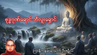 ဗုဒ္ဓဂုဏ်ရောင် ဘီးလူးရှောင် / ကြာနီကန်ဆရာတော် ဦးဇဠိလ