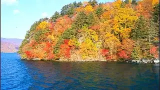 日本東北賞楓之三「青森十和田湖 + 秋田田澤湖」2015-10-21