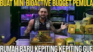 BUAT MINI BIOACTIVE BUDGET PEMULA RUMAH BARU KEPITING KEPITING GUE#Audreykingofthejungle #indoexotic