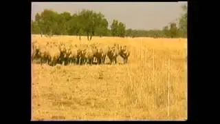 Soil Erosion - SCS legacy video