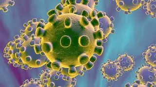 Antibody Treatment for Covid Patients