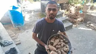 Hech khata ho tumhi😋| Sankranti Special 🪁| Eatch on TV 📺 | 