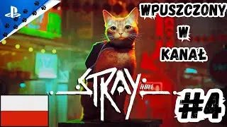 Stray PL #4 - Kicia W Kanale - Gameplay PL (PS5)