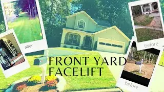 Easy Curb Appeal | Zoysia Grass | DIY Beginner landscaping