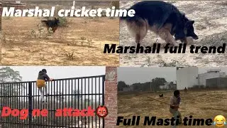 DogNe attack video 🙈￼new cricket team 🫵Marshal, good keeper😂