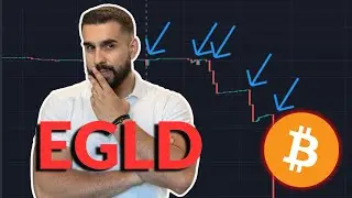 MultiversX EGLD crash masiv - beznă totală, ultima șansă