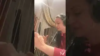 Love this blue note on my harp -Jazz Harp