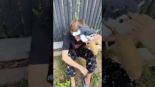 Its so pity