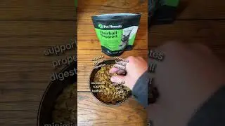 Cat Supplements