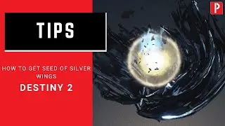 How to Get Destiny 2 Season of Arrivals Seed of Silver Wings Artifact Walkthrough