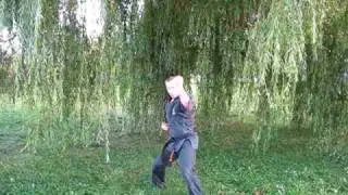 SEIRYU