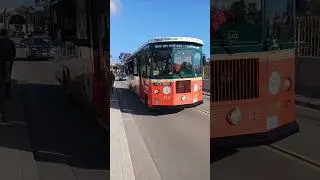 City Tour Trolley Bus San Diego 🚌  #shorts #bus #sandiego