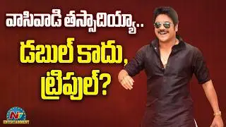 Akhil Akkineni Likely To Play A Comeo In Kalyan Krishna & Nagarjuna New Movie | @NTVENT