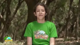 عيش سفاري الموسم 9 الحلقة 20 ( الأخيرة ) : شاهد لقطات مضحكة وطريفة للشجعان وأصالة وراء الكواليس