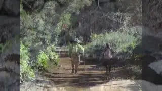 PATEOS FIN DE A&Ntilde;O