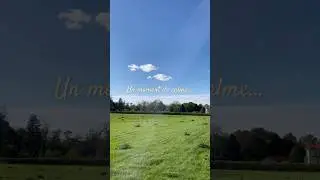 Prendre le temps d&rsquo;observer la nature qui nous entoure 🌿