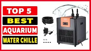Top 5 Best Aquarium Water Chiller 2025